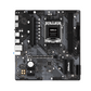 MOTHERBOARD ASRock A620M-HDV/M.2 DDR5